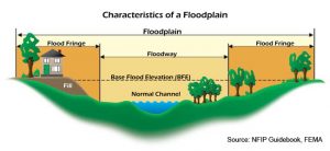 Floodplain Characteristics